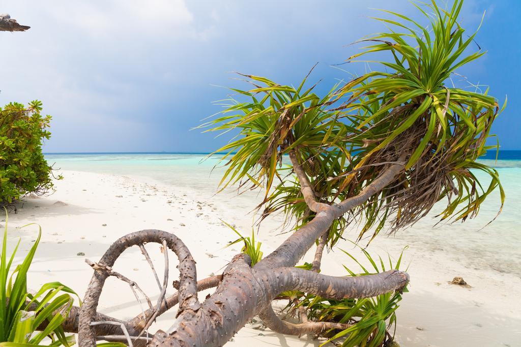 Kalaafaanu Retreat Hotel Hangnaameedhoo Luaran gambar